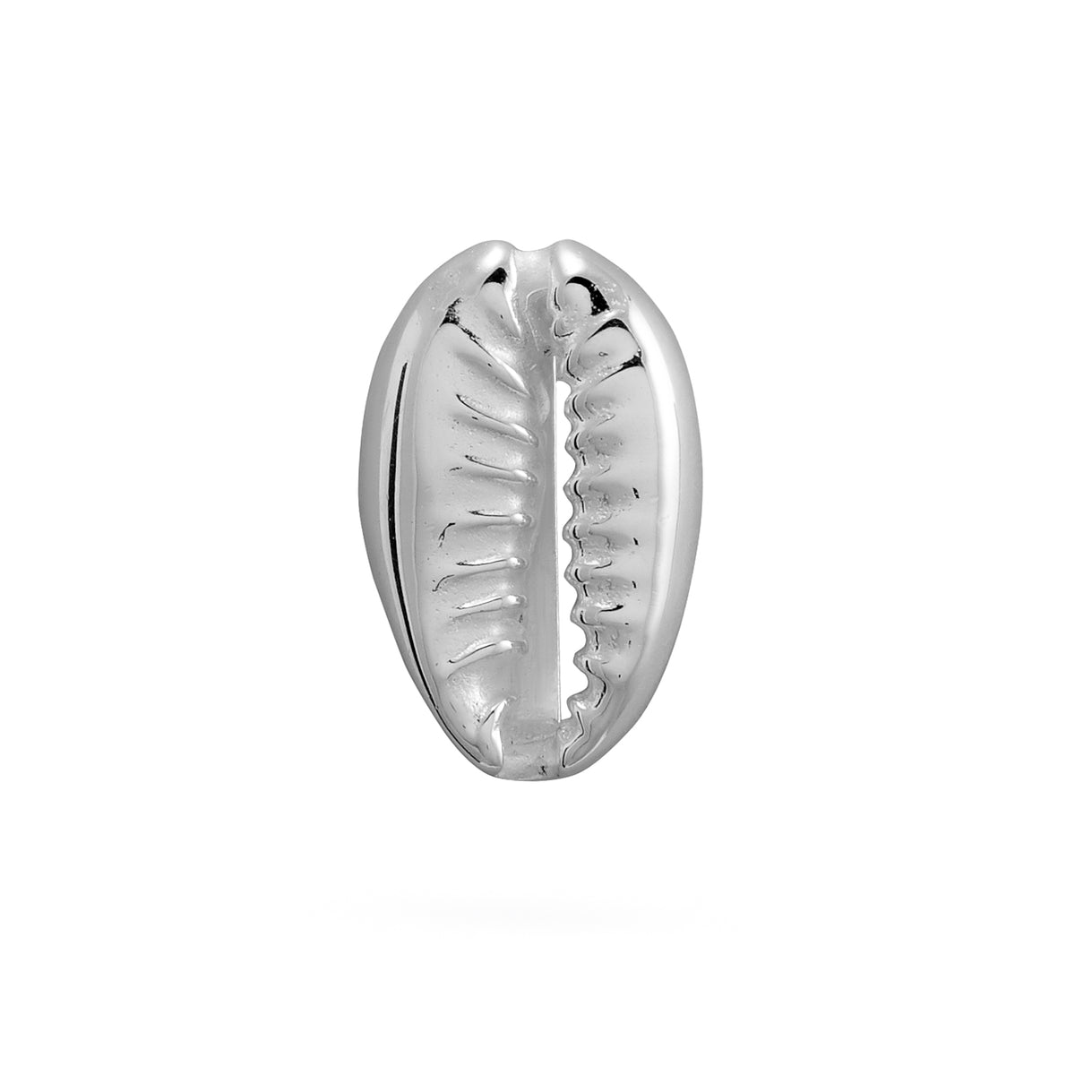 COWRIE SHELL STUDS